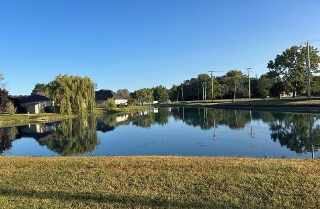 Duck Pond View