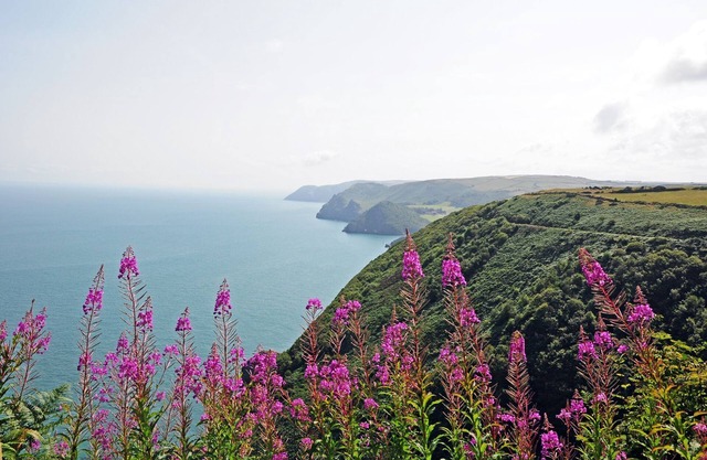 Dunkery Cottage is located in the heart of Exmoor National Park at Wheddon Cross. Dog friendly
