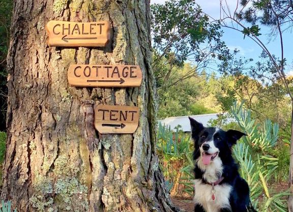 Eagles' Call Cottages and Tent
