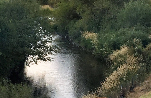 East Gallatin River Property II