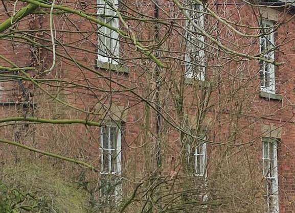 East Wing at Stoke Hall