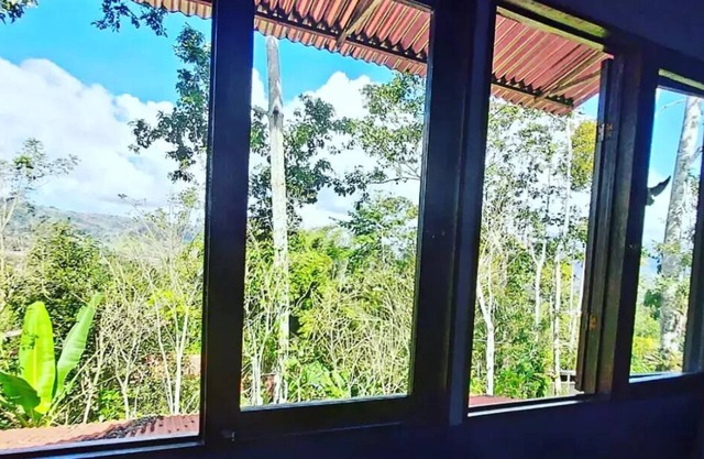eco bamboo house #2 surrounded by wildlife, gardens and waterfalls.