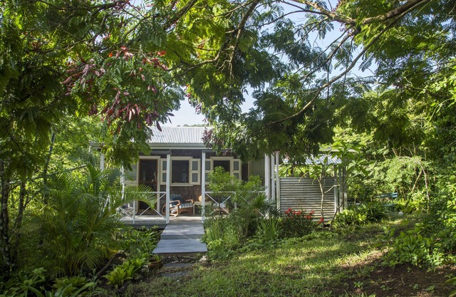 Eco Cabin in remote Caribbean Woodlands