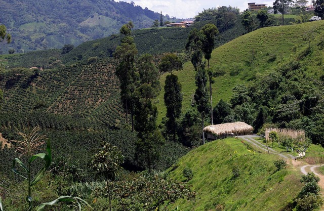 Eco Hotel Glamping El SIlencio