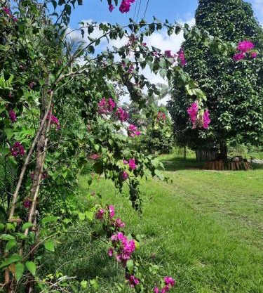 Eco Hotel Mãe De Sagui