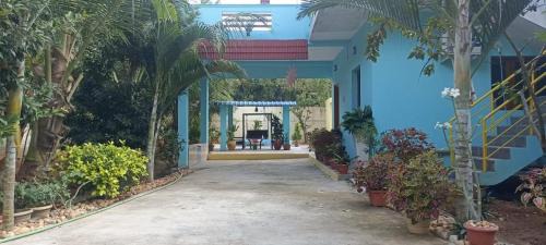 Eco JUNGLE STAYS