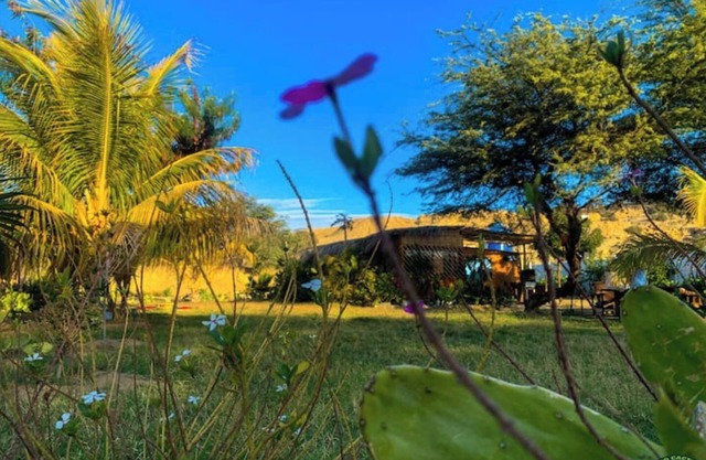 Ecolodge Cactus