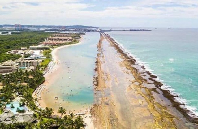 Ekoara muro alto 408