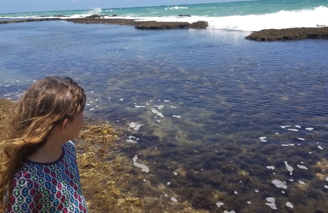 Ekoara Residence - Luxury Flat Muro Alto, best stretch of Muro Alto beach