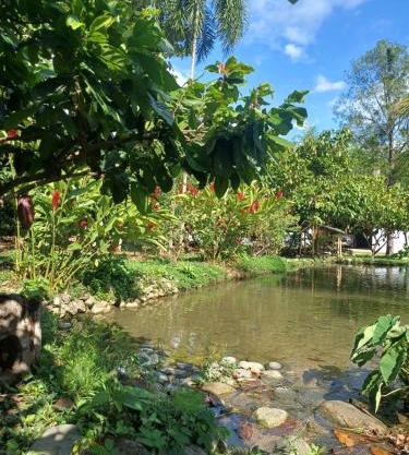 El Cacaotal Finca Faura #5 3H