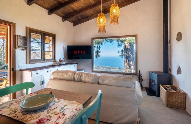 El Pino Centenario 4