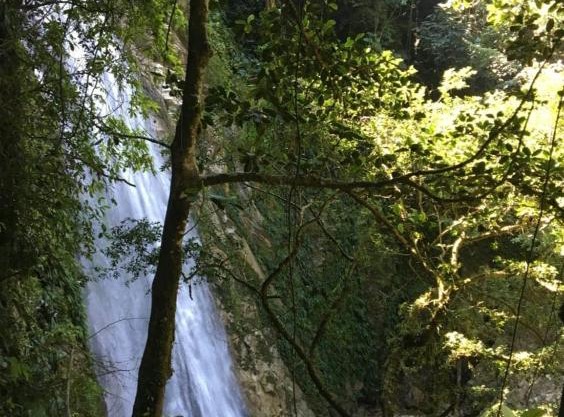 El Tagual, alojamiento Villa Hermosa