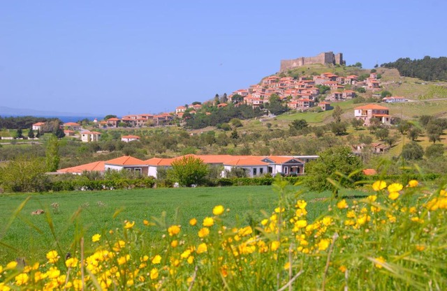 Elea Houses