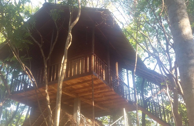 Elephant corridori camping