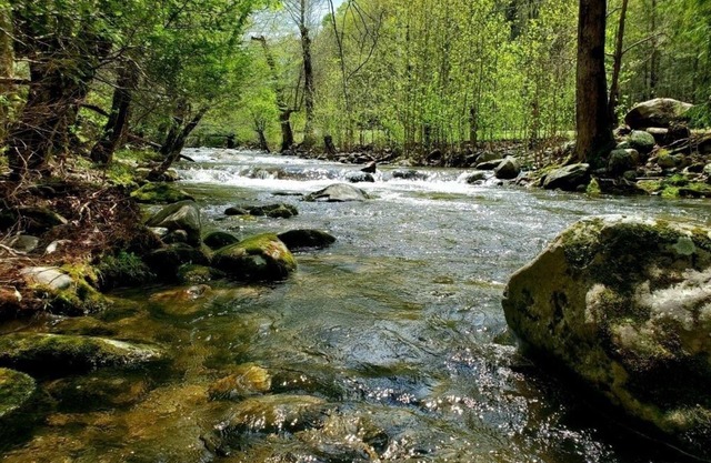 Elk Run On Cosby Creek by RedAwning