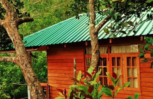 Cottages 