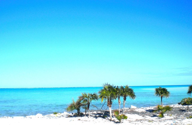 Emerald Estate - Secluded Luxurious Beachfront Villa Whitby