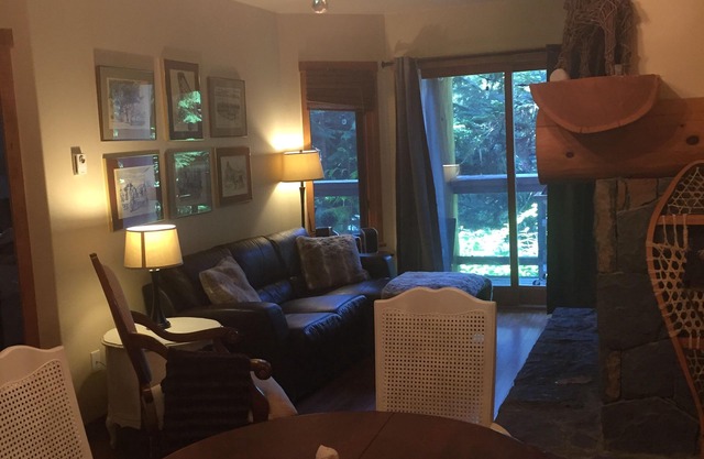 Enchanting mountainside Ski In/Out french lodge style home pool hot tub