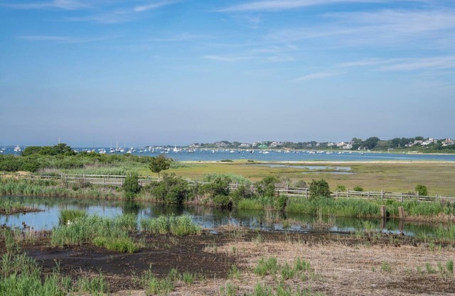 Enjoy Autumn On Nantucket in our Cozy, 1-bedroom condo with WiFi