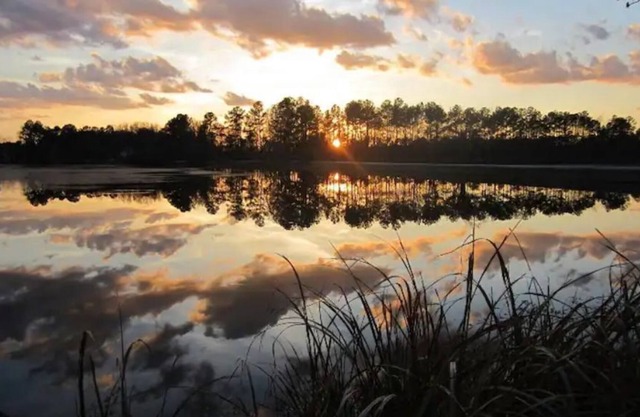 Enjoy the sunrise on private dock on lake Haskie