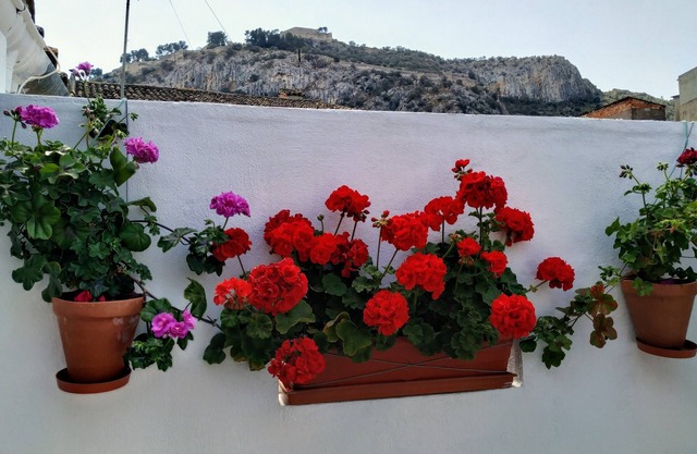 Entire apartment in El Casco Antiguo