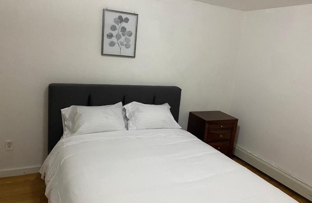 Entire basement apartment very large and Fully furnished