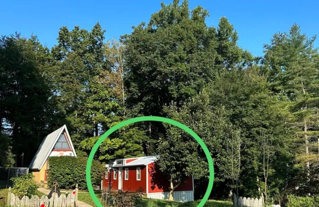 Entire cabin 1 bedroom, 1 sofa bed