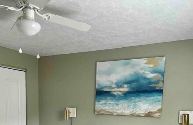 Entire Cozy Apartment in Tampa