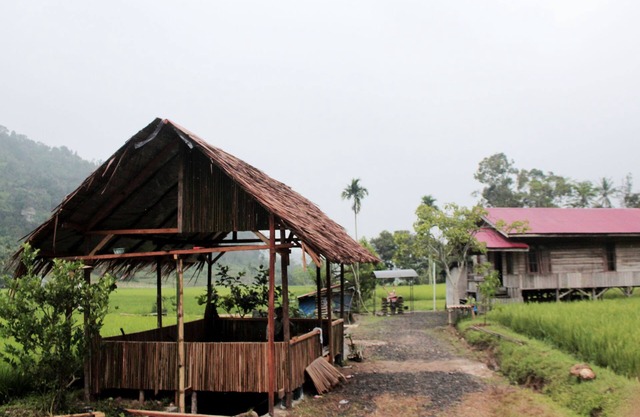 Entra Lodge Mountain View