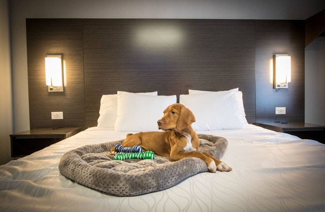 Envi Boutique Hotel Henderson-Evansville South
