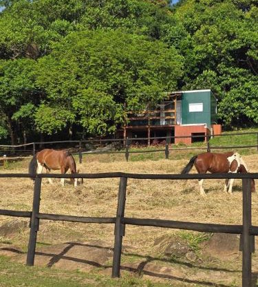 Equus - Refúgio da Ilha