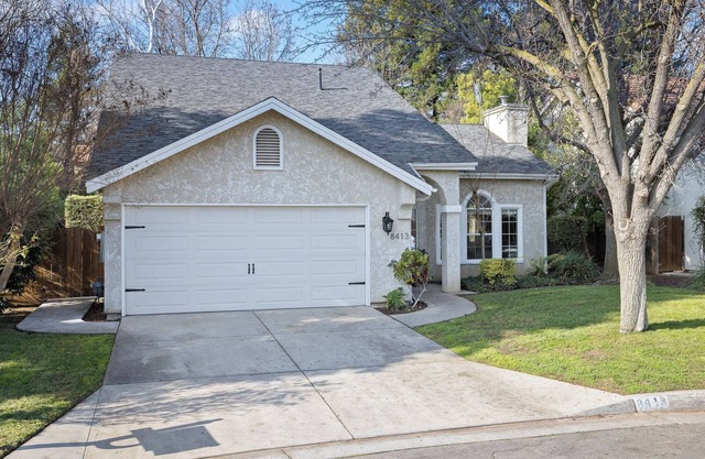 Escape into the Trees - Profesionally CLEANED