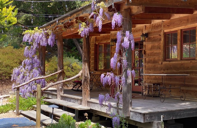 Escape to Castlebrook Cabin, a private retreat in See Canyon