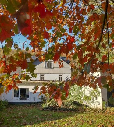 Etzauer Mühle im Taunus, Apartment mit Balkon