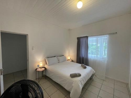 Evergreen Avocado Orchard