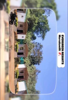 Evergreen resorts