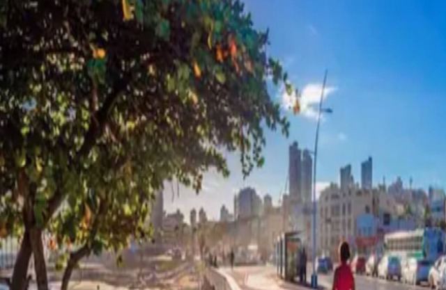 Excellent apt. 100m from Ondina Beach. Close to everything!!!