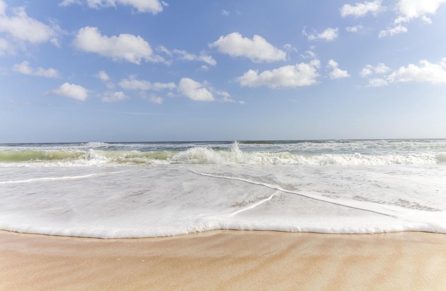 Excellent Location ~ Pet Friendly ~ Only Steps to the Beach!!!