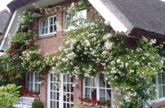 Exclusive 5-star vacation home under thatch - directly near Binz