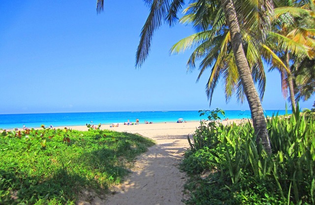 Ocean Park Beach 