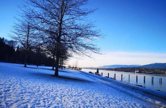 Executive 2BR Suite Beautiful View Renovated