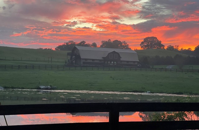 Experience rural charm in our Culleoka Farmstay