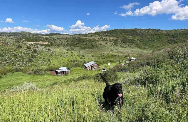 Explore Hunting Cabins in Collbran Colorado - Mountain Made