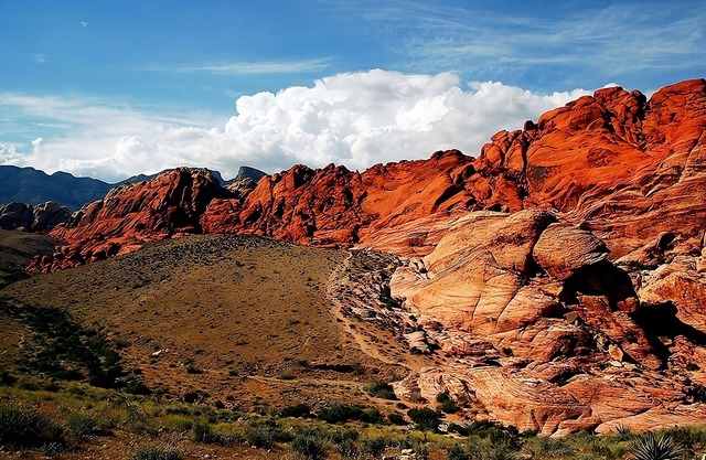 Explore Red Rock Canyon National Conservation Area! 4 Family-friendly Units!