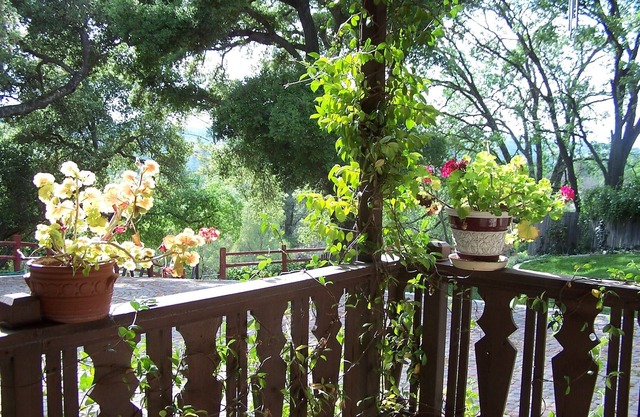 Explore the Central Coast from Portola Inn Guest House
