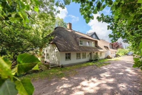 Föhrzeit - Wohnung 4 Besonderes Apartment mit Garten