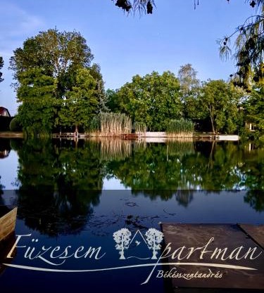 Füzesem Apartman