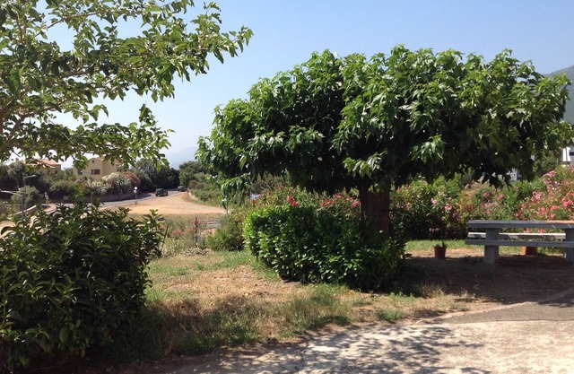 F3 villa floor Furiani