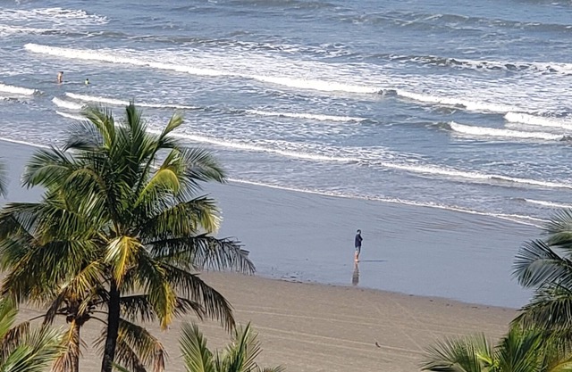 Facing the sea. Bertioga Bay Beach