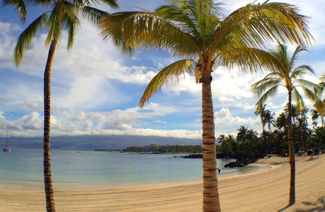 Fall in Hawaii! See Our Location!.Read Our Reviews!.So Many Extras!